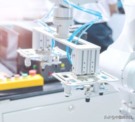 全國首部地方性化妝品法規出臺 品牌如何在法規背景下選擇優質寵物用品工廠